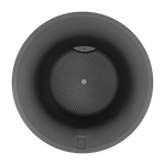 june tulip 47cm zwart